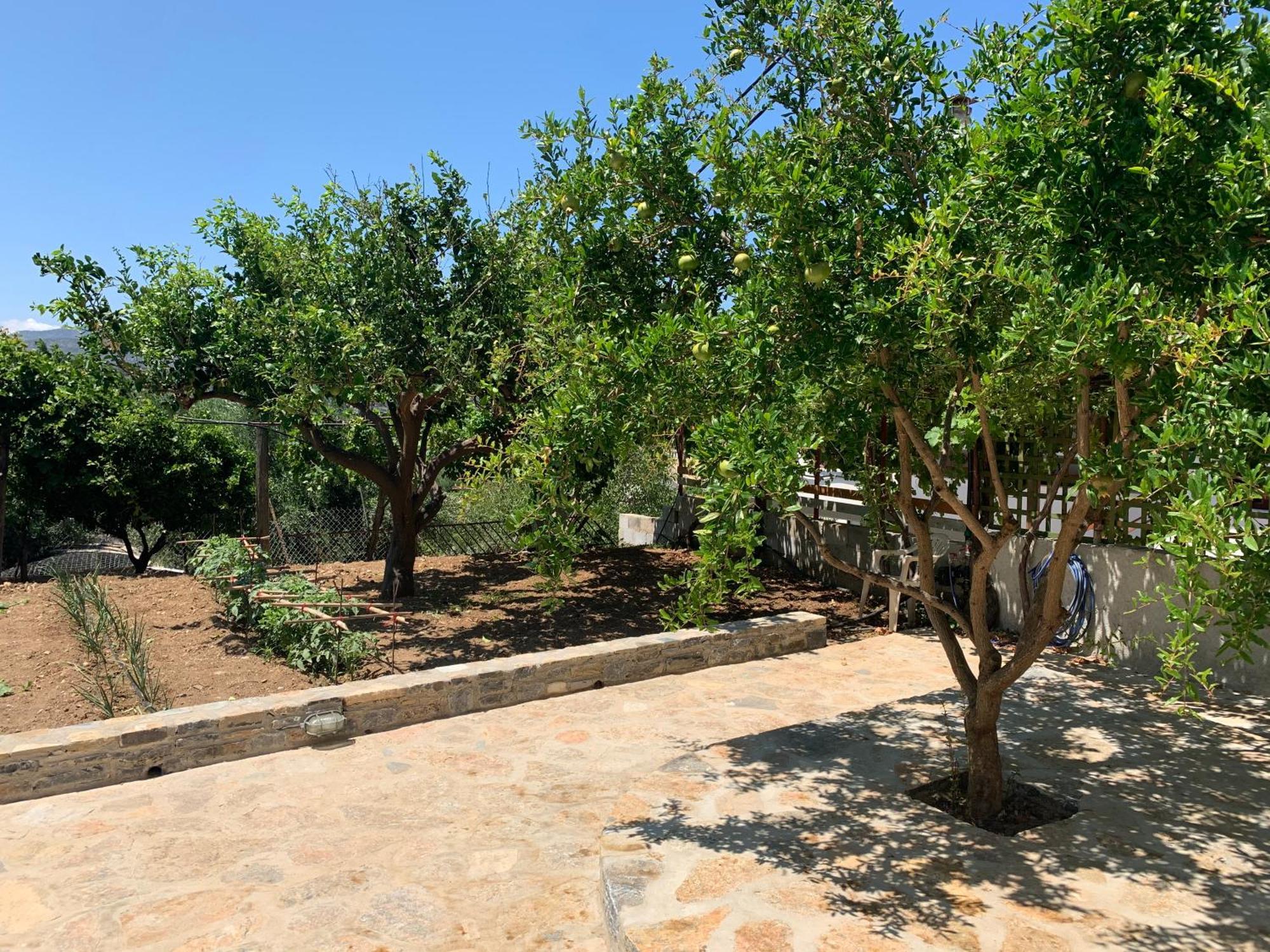 Gioma Garden Villas Ίστρο Εξωτερικό φωτογραφία