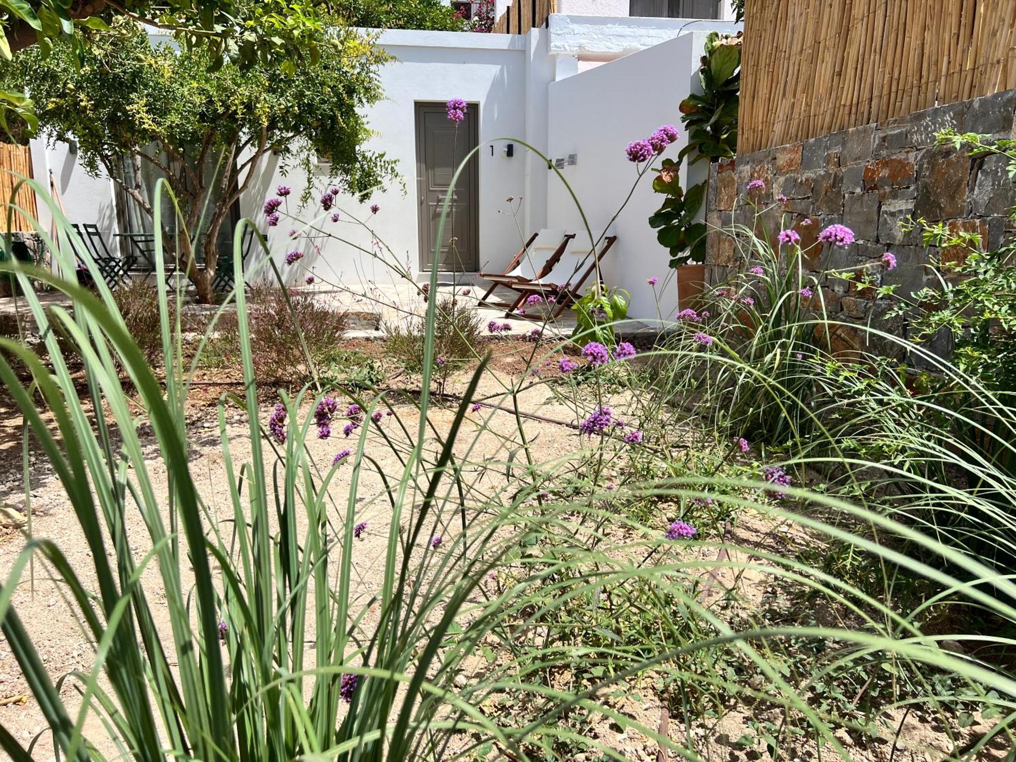 Gioma Garden Villas Ίστρο Εξωτερικό φωτογραφία